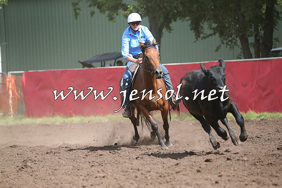 NimmitabelCampdraft2015_2379