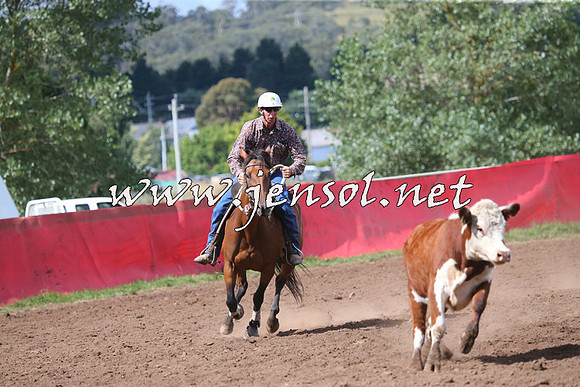 NimmitabelCampdraft2015_2440