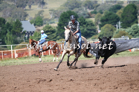 NimmitabelCampdraft2015_2432