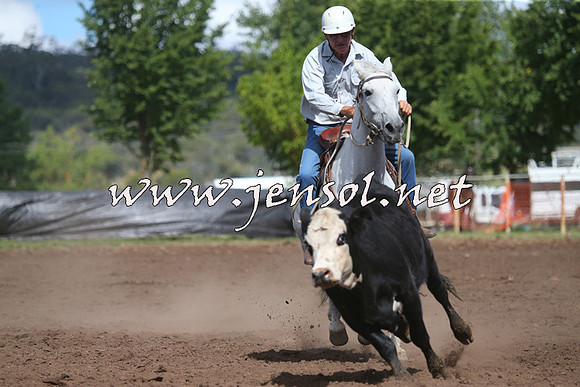 NimmitabelCampdraft2015_2371