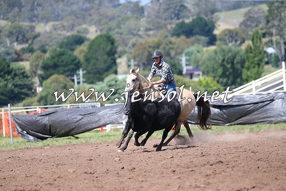 NimmitabelCampdraft2015_2429