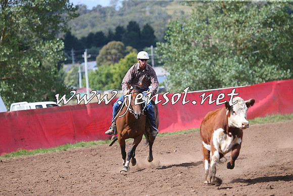 NimmitabelCampdraft2015_2442