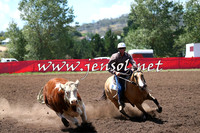 NimmitabelCampdraft2015_2301