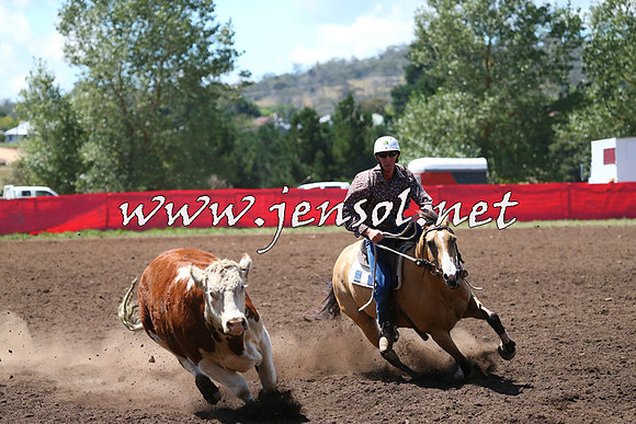 NimmitabelCampdraft2015_2301
