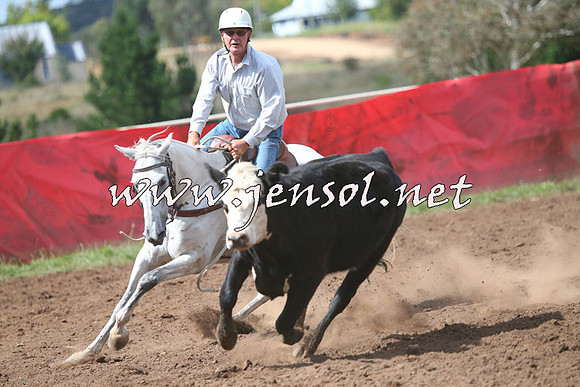 NimmitabelCampdraft2015_2368
