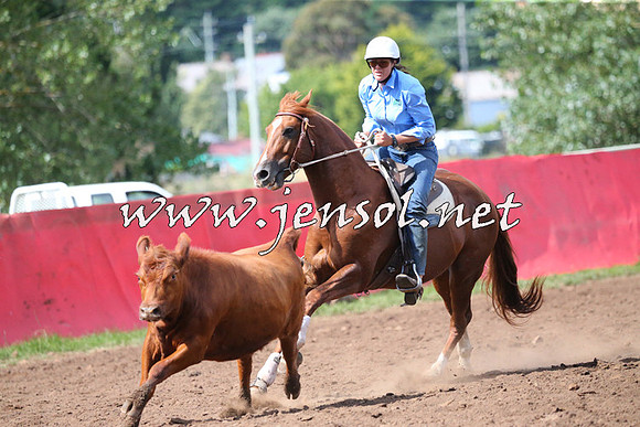 NimmitabelCampdraft2015_2400