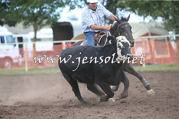 NimmitabelCampdraft2015_2479