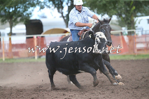 NimmitabelCampdraft2015_2482
