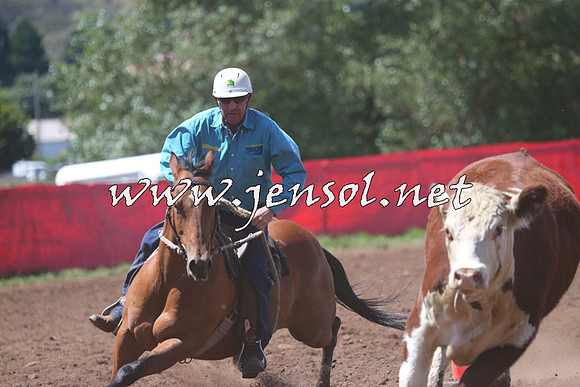NimmitabelCampdraft2015_2322