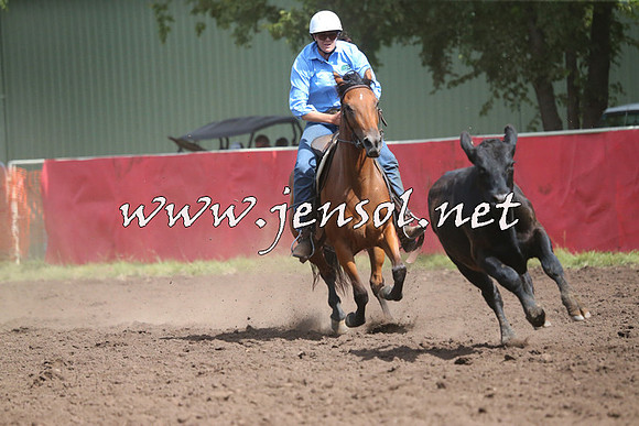 NimmitabelCampdraft2015_2380