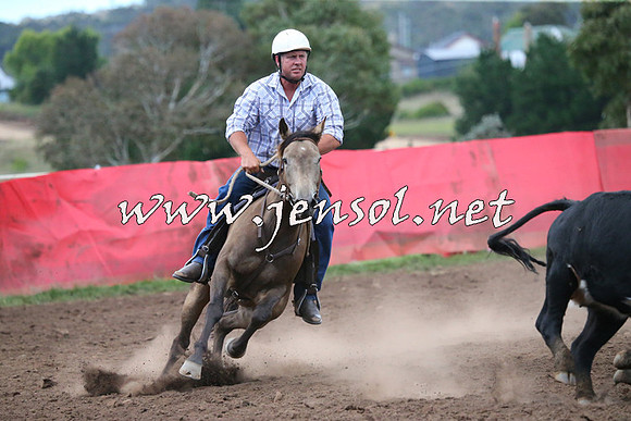 NimmitabelCampdraft2015_2465