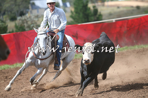 NimmitabelCampdraft2015_2365