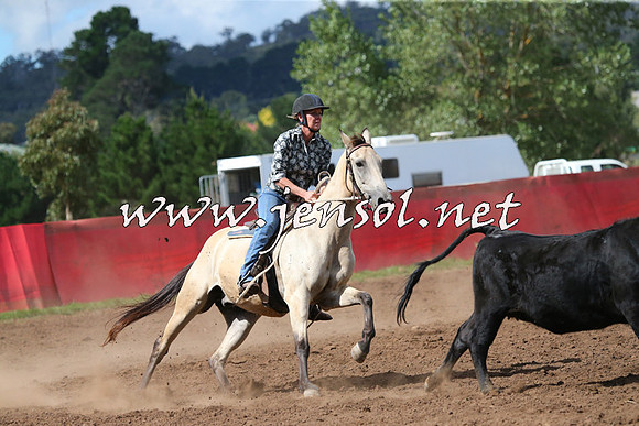 NimmitabelCampdraft2015_2424