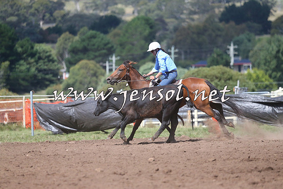NimmitabelCampdraft2015_2387