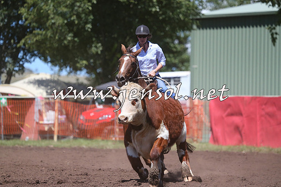 NimmitabelCampdraft2015_2313