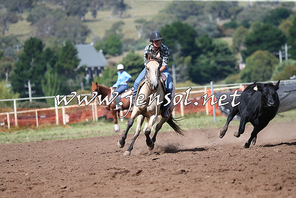 NimmitabelCampdraft2015_2433