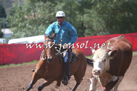NimmitabelCampdraft2015_2321