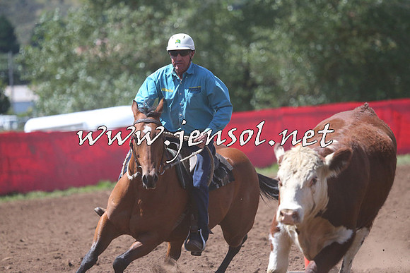 NimmitabelCampdraft2015_2321