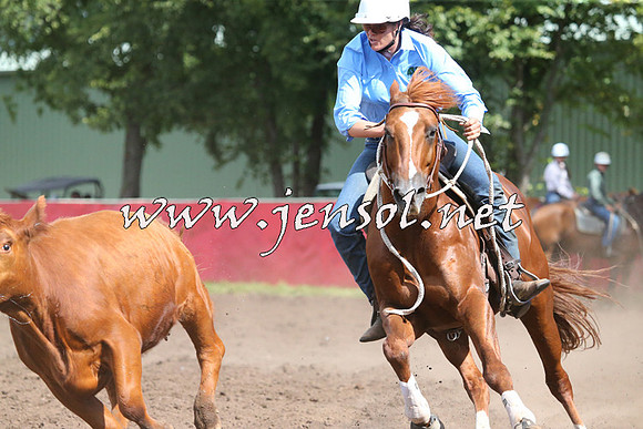 NimmitabelCampdraft2015_2411