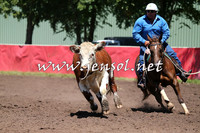 NimmitabelCampdraft2015_2326