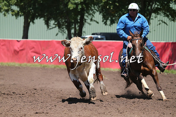 NimmitabelCampdraft2015_2326
