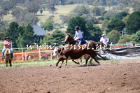 NimmitabelCampdraft2015_2316