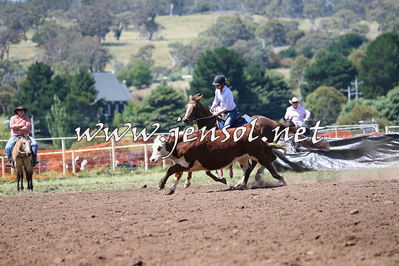 NimmitabelCampdraft2015_2316