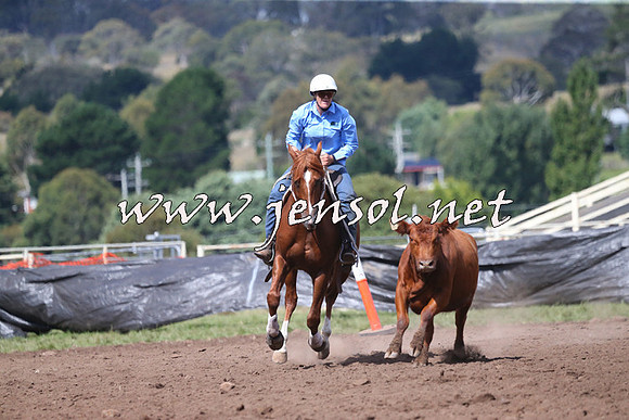NimmitabelCampdraft2015_2423