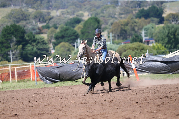 NimmitabelCampdraft2015_2430
