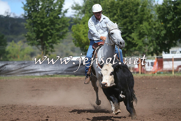 NimmitabelCampdraft2015_2373