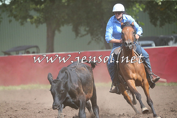 NimmitabelCampdraft2015_2383