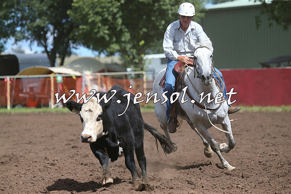 NimmitabelCampdraft2015_2375