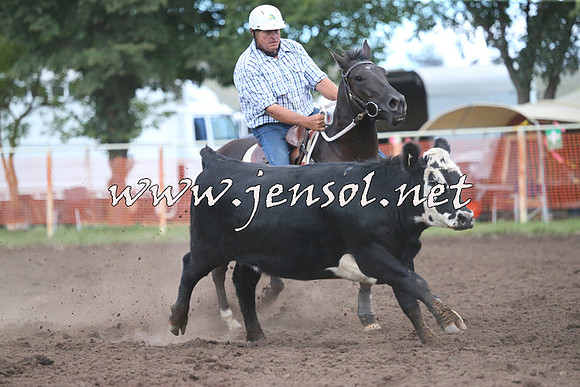 NimmitabelCampdraft2015_2477