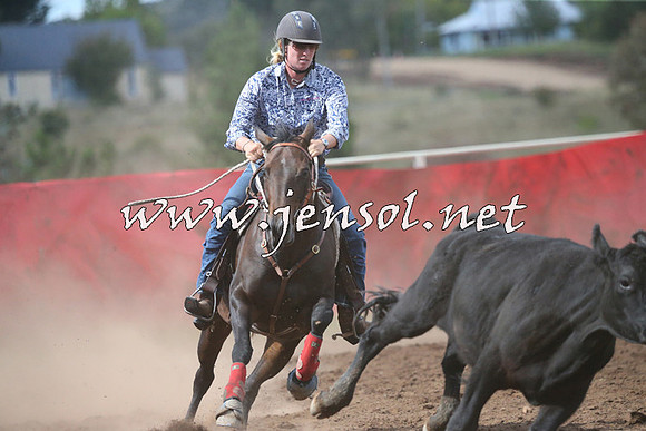 NimmitabelCampdraft2015_2461