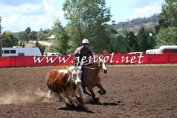 NimmitabelCampdraft2015_2305