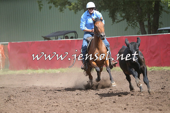 NimmitabelCampdraft2015_2378