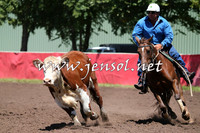 NimmitabelCampdraft2015_2331