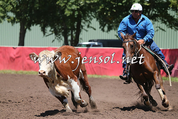NimmitabelCampdraft2015_2331