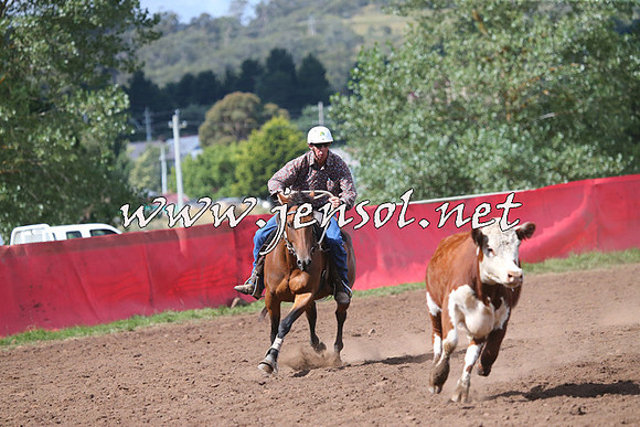NimmitabelCampdraft2015_2441
