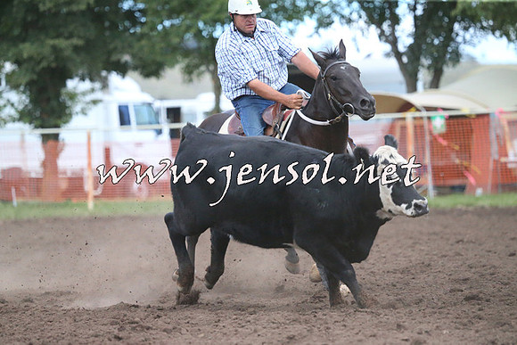 NimmitabelCampdraft2015_2475