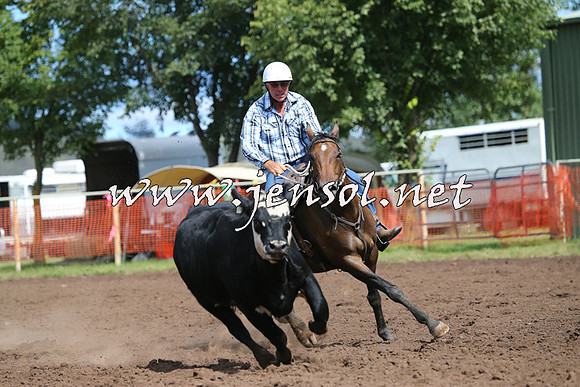 NimmitabelCampdraft2015_2347