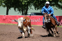 NimmitabelCampdraft2015_2328