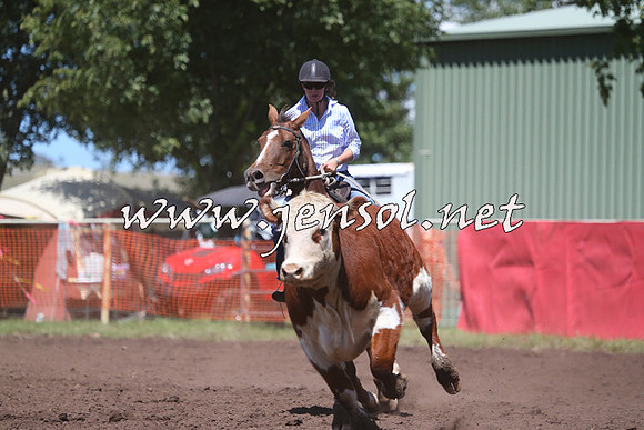 NimmitabelCampdraft2015_2311