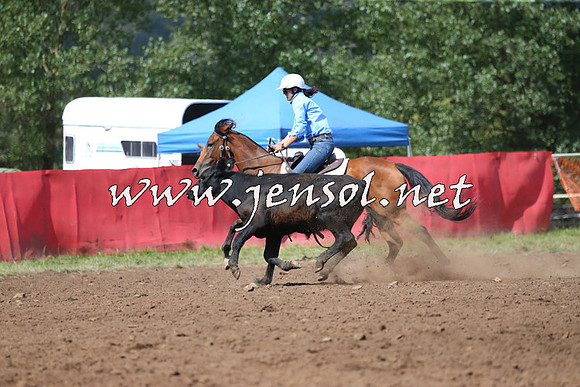 NimmitabelCampdraft2015_2391