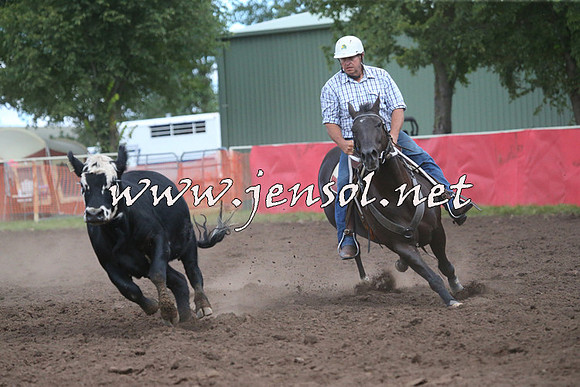 NimmitabelCampdraft2015_2483