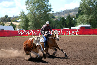 NimmitabelCampdraft2015_2304