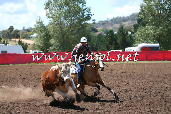 NimmitabelCampdraft2015_2304