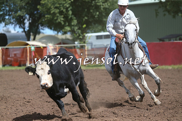 NimmitabelCampdraft2015_2377