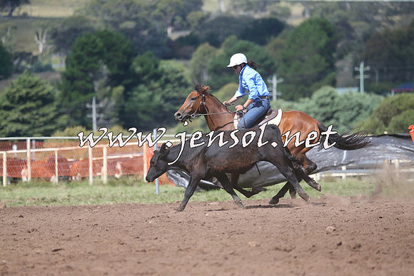 NimmitabelCampdraft2015_2386