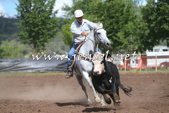 NimmitabelCampdraft2015_2372